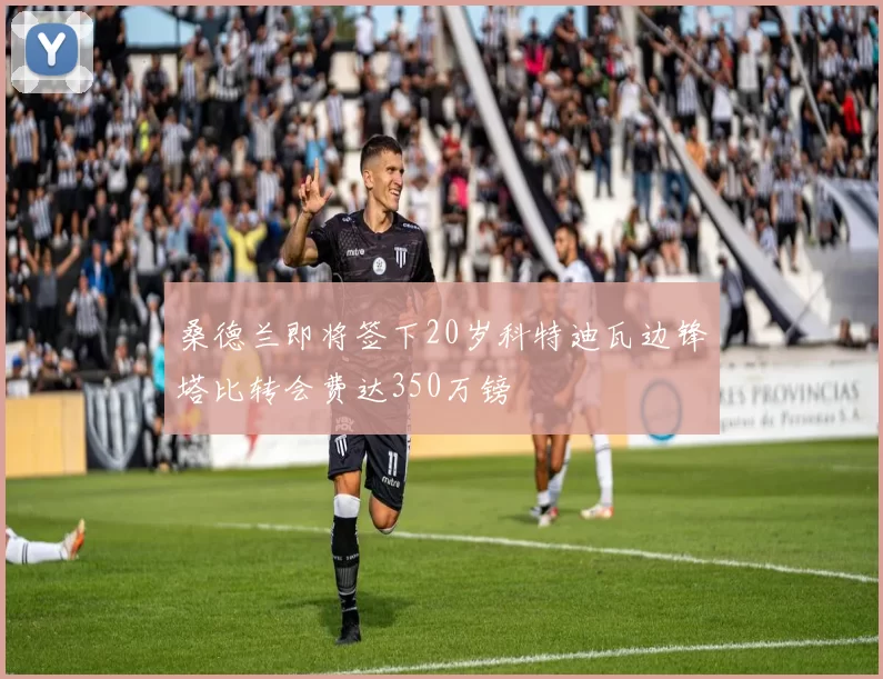 桑德兰即将签下20岁科特迪瓦边锋塔比转会费达350万镑