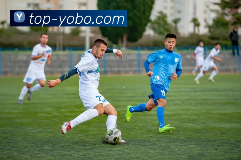 App Interface Preview